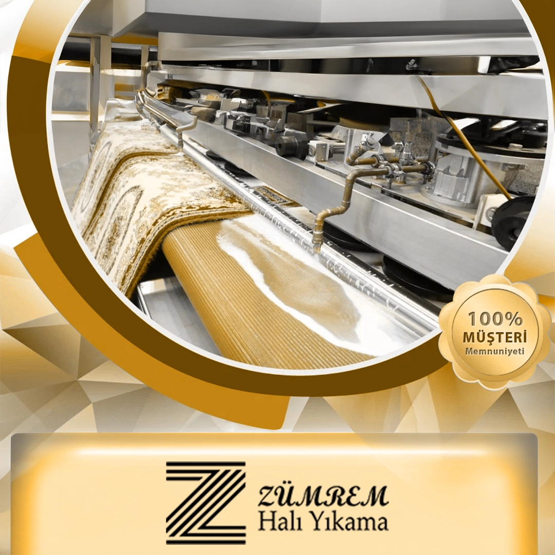 halı koltuk temizlik hizmeti